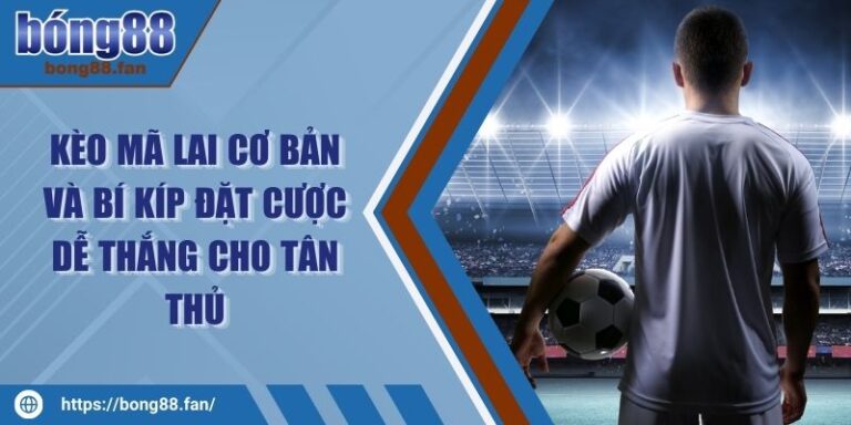 Kèo Mã Lai Cơ Bản Và Bí Kíp Đặt Cược Dễ Thắng Cho Tân Thủ 1 Kèo Mã Lai Cơ Bản Và Bí Kíp Đặt Cược Dễ Thắng Cho Tân Thủ